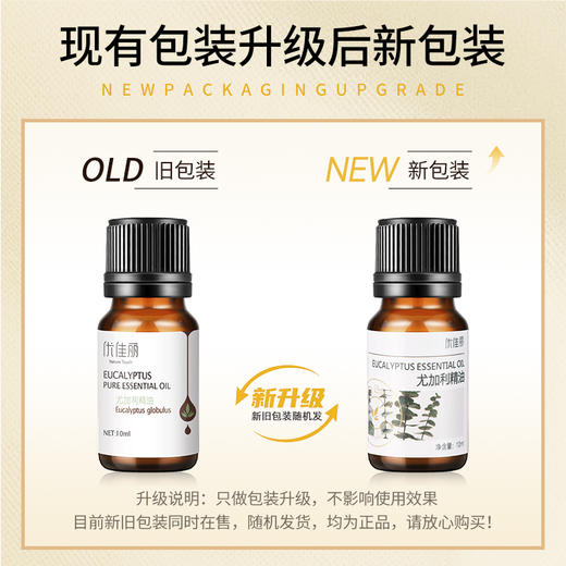 尤加利精油单方精油 10ml 商品图1