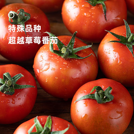 企鹅市集|广东 脆皮布林番茄 家庭装/礼盒装可选 皮脆紧实 爽脆酸甜 浓郁番茄味 商品图3