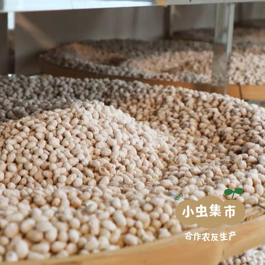 山西生态古法酱油 248ml*2瓶 | 合作农友生产，来自山西太谷，生产者：贺健增 ＆【公平贸易农人定价】 商品图14