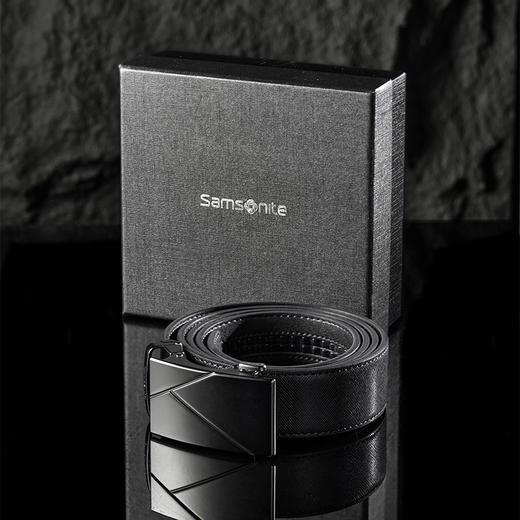 59Q*09011 新秀丽单头自动扣皮带 商品图12