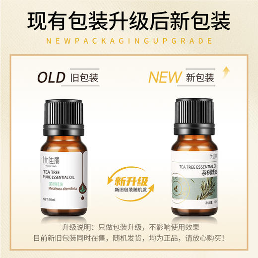 茶树精油单方精油 10ml 商品图1