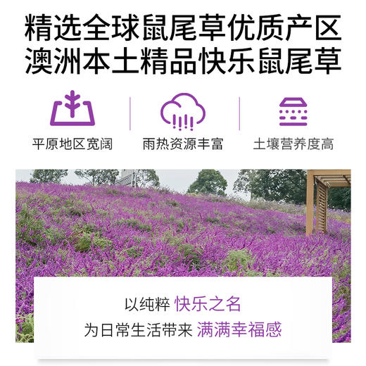 快乐鼠尾草精油单方精油 10ml 商品图2