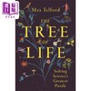 预售 【中商原版】生命之树 The Tree of Life 英文原版 Max Telford 自然科学 科学百科 商品缩略图0