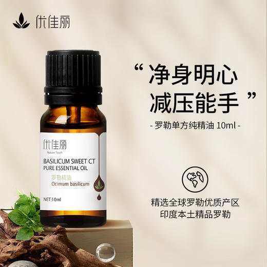 罗勒精油单方精油 10ml 商品图0
