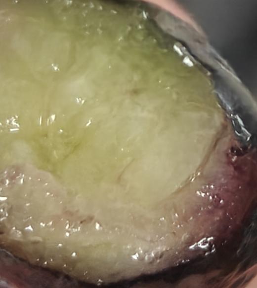 百里家的蓝莓 自然农法 有机标准 颗颗爆浆 护眼 养颜 |百里食 商品图11