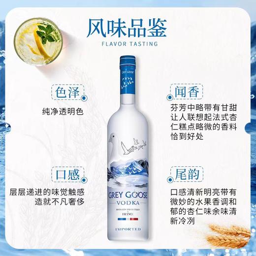 灰雁伏特加 700mL 商品图1
