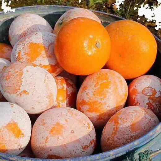 [最农公社]广西武鸣茂谷柑3斤5斤9斤中果大果当季新鲜大果石灰脏脏柑橘 商品图7