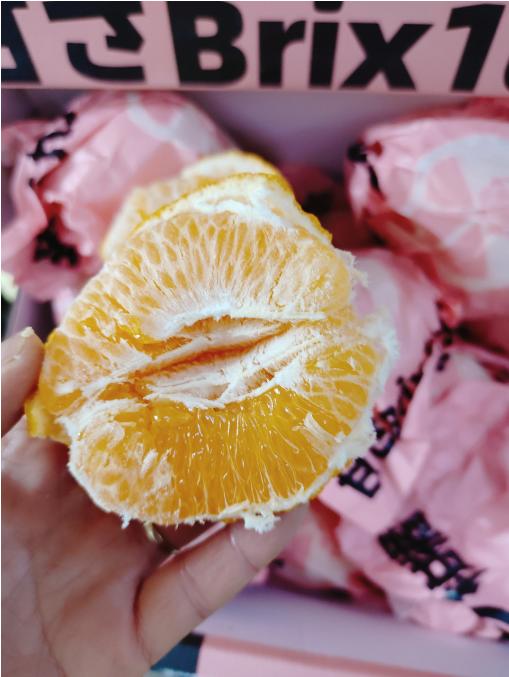 唐氏丑橘礼盒 商品图4