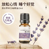 薰衣草精油单方精油 10ml 商品缩略图0