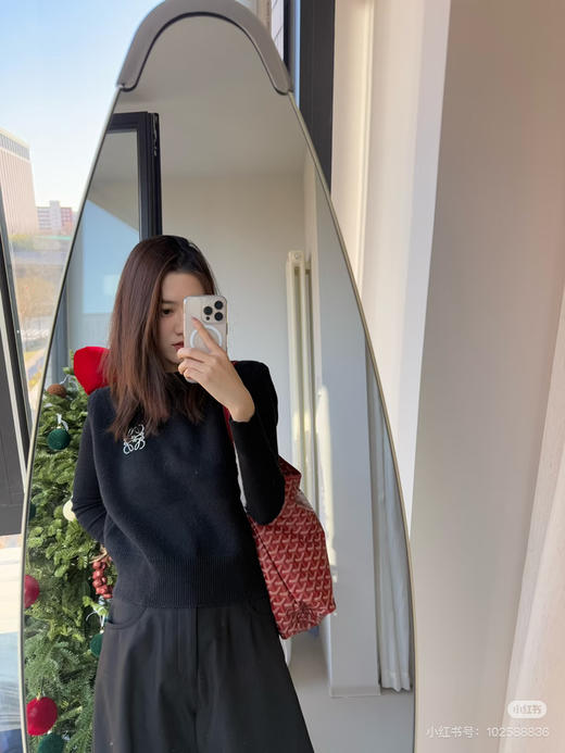 戈雅Hobo 红色（原厂皮） 商品图1