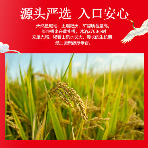 【自营】今粮道 农家米大米蟹田米 5KG 商品图5