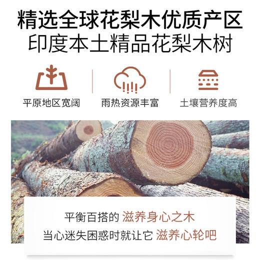 花梨木精油单方精油 10ml 商品图2