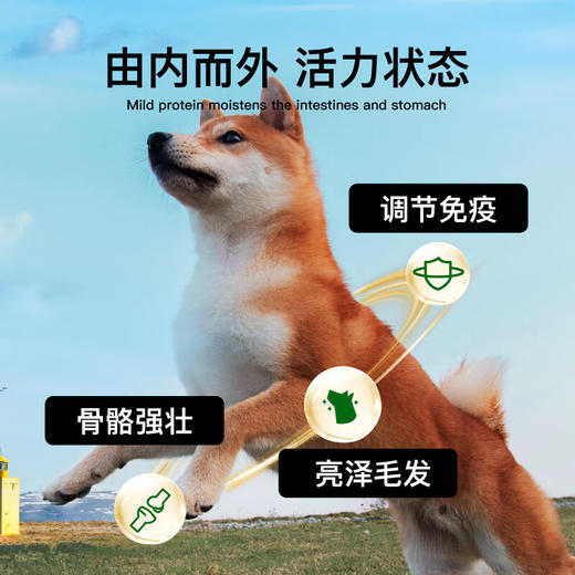 灵宠物语宠物主粮全价全阶段鸡肉配方狗粮10kg 商品图7