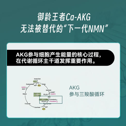 【 益活新 AKG PRO二代 】全球AKG之父  Brian Kennedy同款 提振精力/紧致皮肤 挑战7个月 年轻8岁~ 商品图4