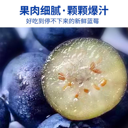 【特惠价】国产沃田蓝蓝莓125g*8盒装（果径18mm）【分仓直发，72小时发货，周末节假日不发货】 商品图2