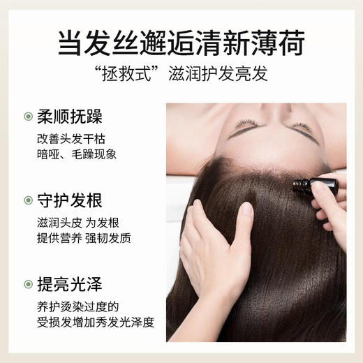 迷迭香精油单方精油 10ml 商品图0