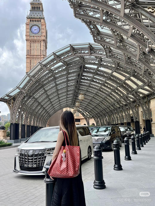 goyard戈雅红色（原厂皮） 商品图1