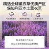 薰衣草精油单方精油 10ml 商品缩略图2