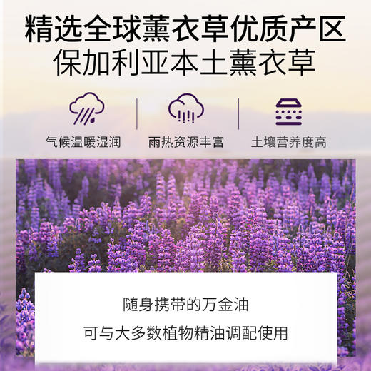 薰衣草精油单方精油 10ml 商品图2