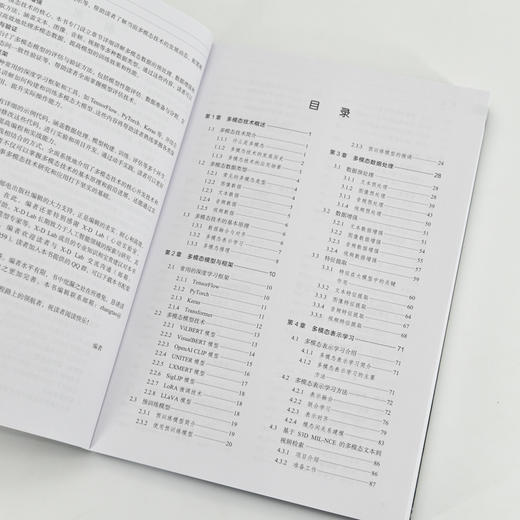 多模态大模型技术与开发实战 大模型开发LLM提示工程师GPT deepseek大模型 多模态大语言模型教程 商品图3