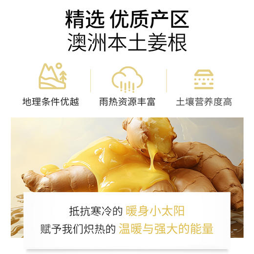 姜精油单方精油 10ml 商品图2