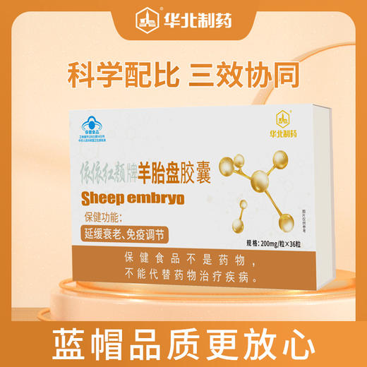 热卖疯抢中!【始建于1953年 70年民族老品牌 500强上市企业】 华北制药羊胎盘胶囊 延缓衰老免疫调节  内调外养焕发活力  多维营养高含量科学配比  男女皆宜 36粒/盒 商品图0