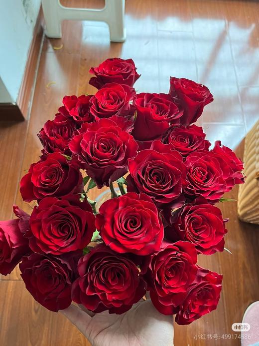 高原红8枝 商品图0