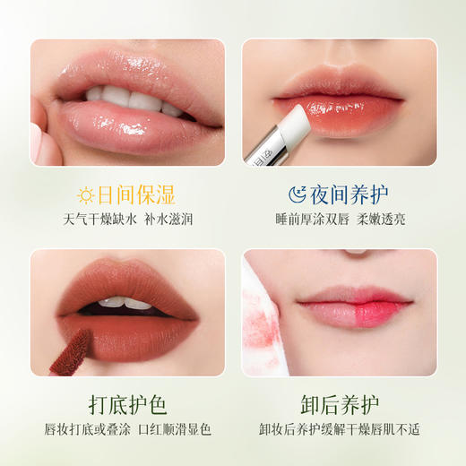 安且吉兮 白茶倍润唇膏（雨露清新）3g 商品图4