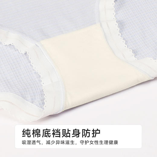 都市丽人纤柔绵木代尔系列RC棉平角裤LKH5C3 商品图7