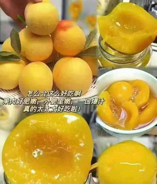 陈素花黄桃罐头 商品图2
