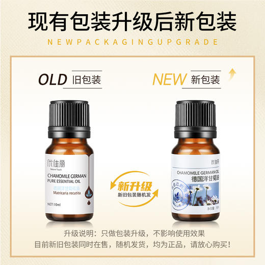 德国洋甘菊油单方精油 10ml 商品图1