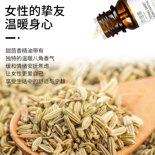 甜茴香精油单方精油 10ml 商品图0