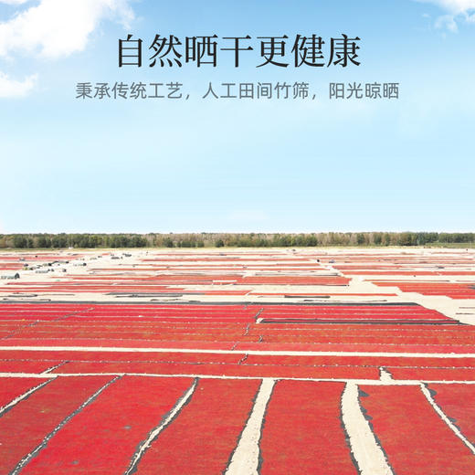 【冬季滋补】杞里香250g罐装特级枸杞，260g袋装特级头茬枸杞，宁夏红枸杞 商品图7