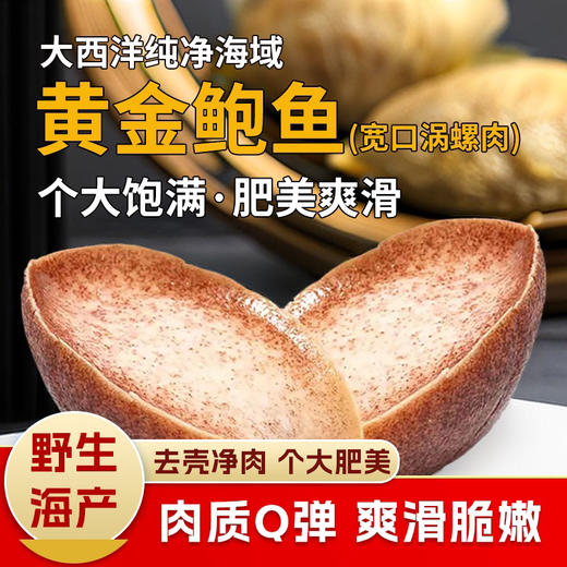 【野生海产】黄金鲍鱼（涡螺肉）175g ±25g原料原产地-塞内加尔 商品图0