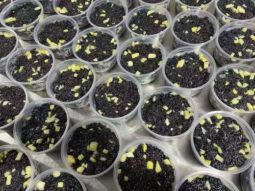 周一取货：【菠萝乌米饭】一盒350克左右，清爽，清香好滋味！ 商品图1