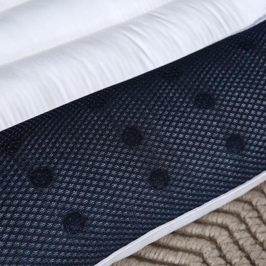 【多样屋专柜】雅鹿 决明子磁疗明目枕 白色 30*50cm 商品图2