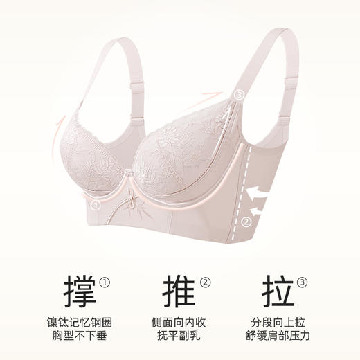 【商场同款】熳洁儿 调整型小胸聚拢文胸中厚杯新中式雅竹系列云感棉收副乳25201313 商品图1
