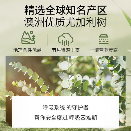 尤加利精油单方精油 10ml 商品图2