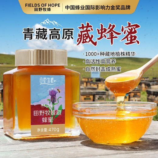 藏蜂蜜珍稀藏药蜜源 营养价值高 滋补人群推荐好蜜4瓶装 商品图2