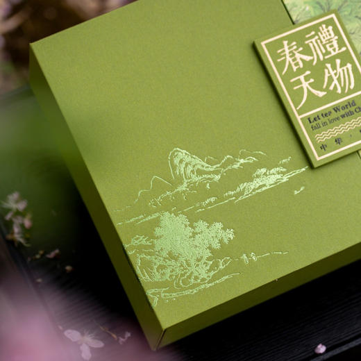 春天礼物【通版 双罐 草绿】35元一套/一件14套 商品图8