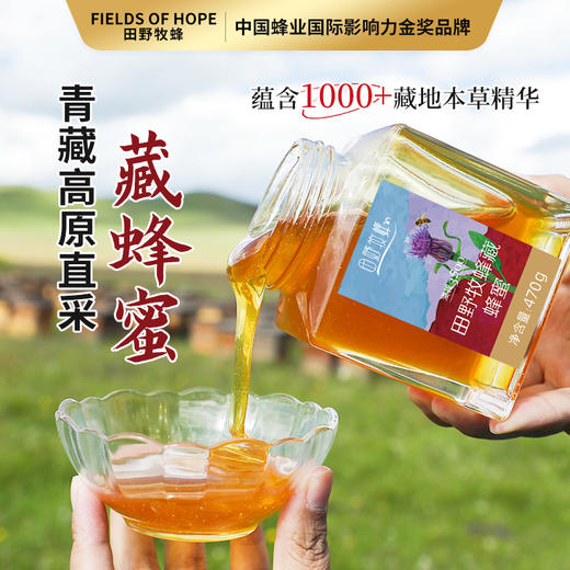 藏蜂蜜珍稀藏药蜜源 营养价值高 滋补人群推荐好蜜4瓶装 商品图1