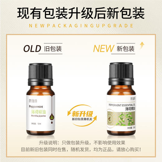薄荷精油单方精油 10ml 商品图1