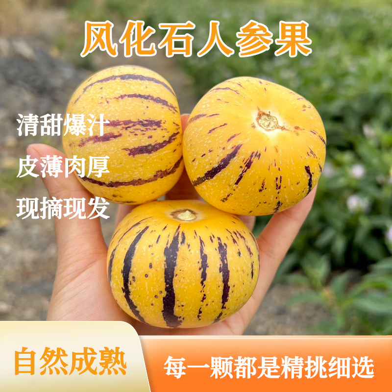 风化石人参果 中果 3斤