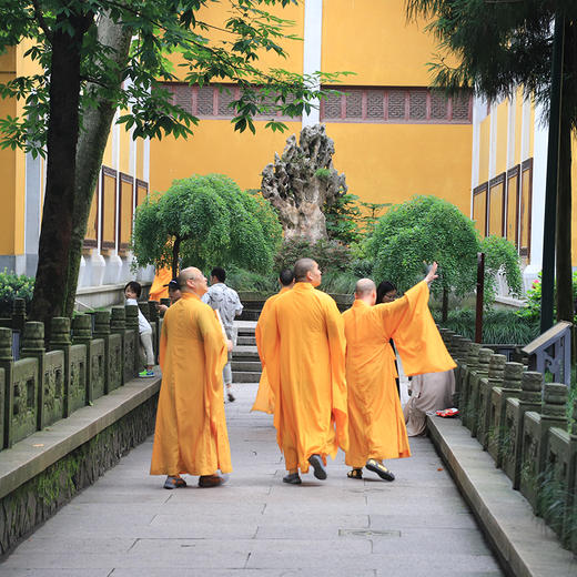 灵峰飞来｜杭州 飞来峰+灵隐寺讲解半日游【大咖说®】 商品图1