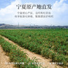 【冬季滋补】杞里香250g罐装特级枸杞，260g袋装特级头茬枸杞，宁夏红枸杞 商品缩略图2