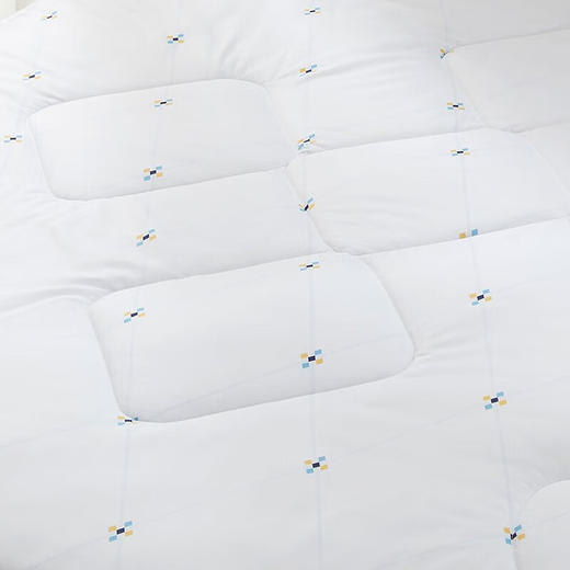 【分仓直发包邮】罗莱防螨抗菌春秋被200*230cm 商品图6