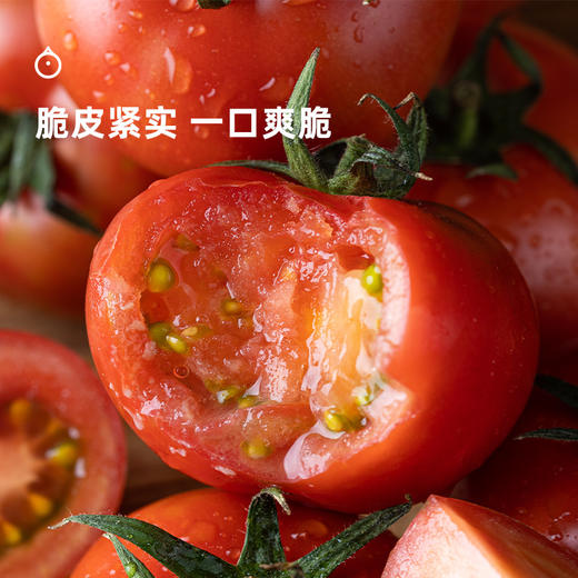 企鹅市集|广东 脆皮布林番茄 家庭装/礼盒装可选 皮脆紧实 爽脆酸甜 浓郁番茄味 商品图1