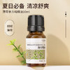 薄荷精油单方精油 10ml 商品缩略图0