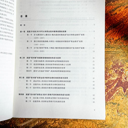 对接科技发展和劳动力市场需求 英国职业技术教育变革研究 商品图7