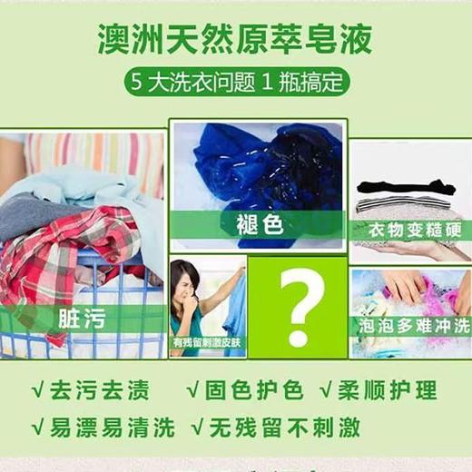 澳洲 羽花甘蓝洗衣皂液 护色增艳/深层洁净 商品图2